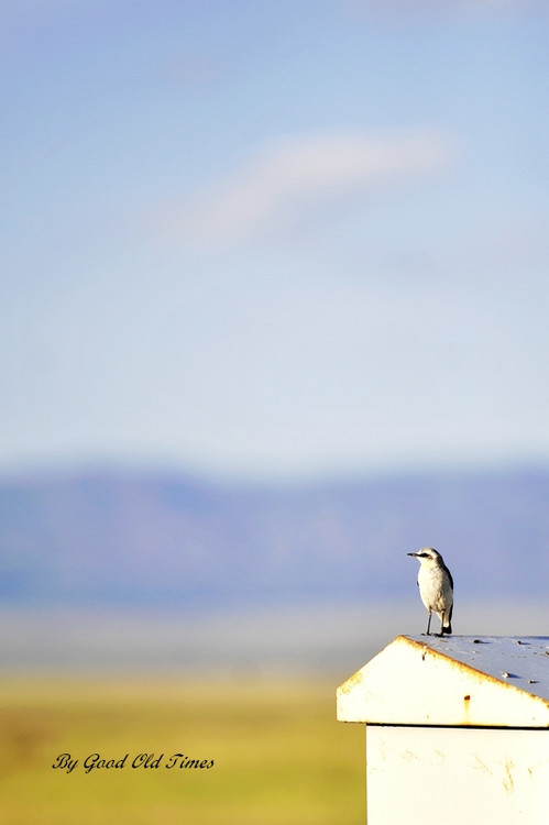 ������һƳ-��Ȼ�羰