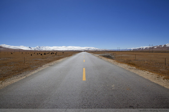 ��·-���ϵ���