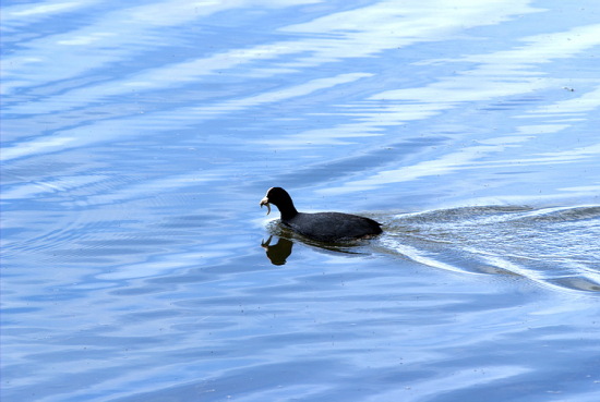 ��������-��Ȼ�羰