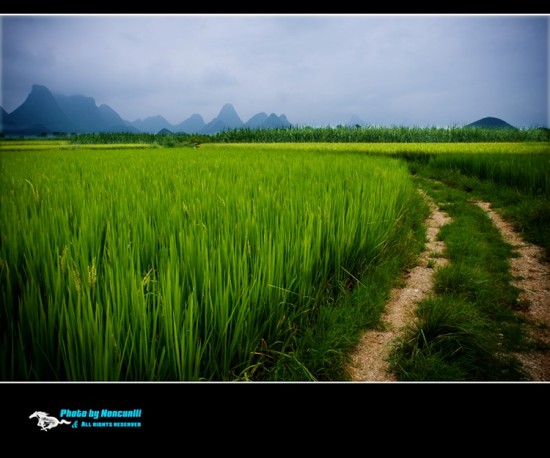 ��Ұ-��Ȼ�羰