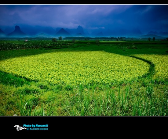 ��Ұ-��Ȼ�羰