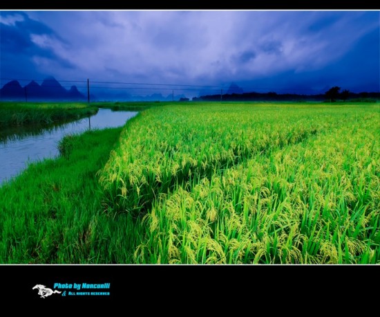 ��Ұ-��Ȼ�羰