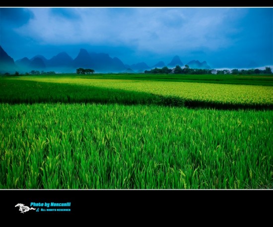 ��Ұ-��Ȼ�羰