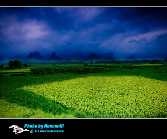 ��Ұ-��Ȼ�羰