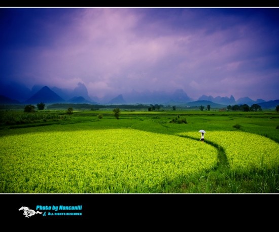 ��Ұ-��Ȼ�羰