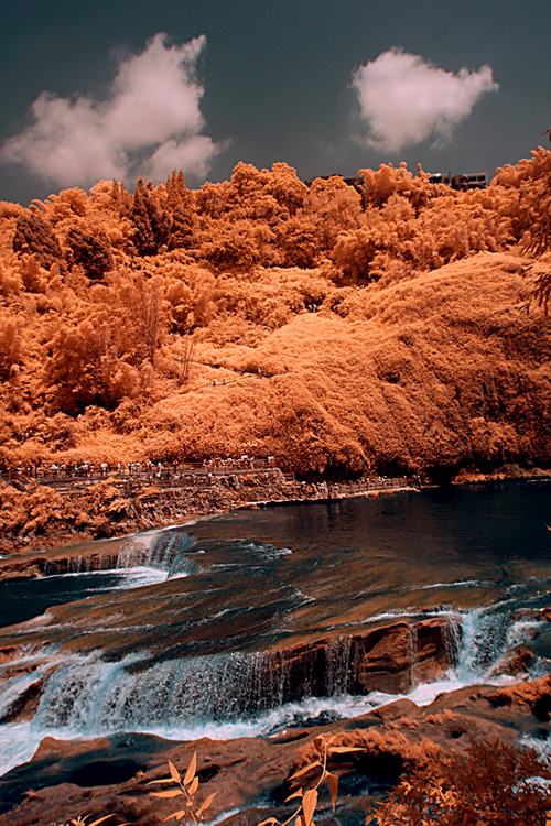 ��ɫ������Ӱ:�ƹ����ٲ�-���ϵ���