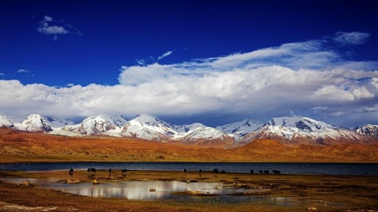 ������ű��-��Ȼ�羰