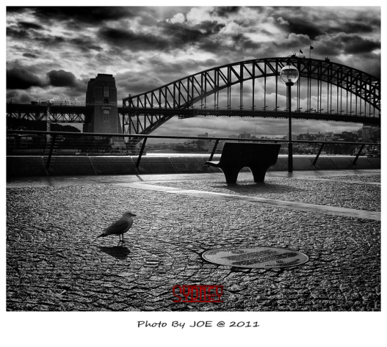 �ڰ׾�ͷ�µİ���-������Ӱ