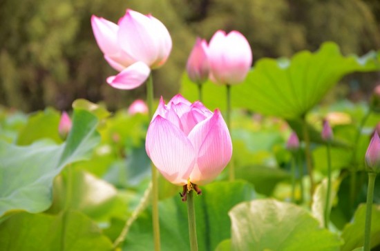 �������Ϫ�Ͻ�-������Ӱ