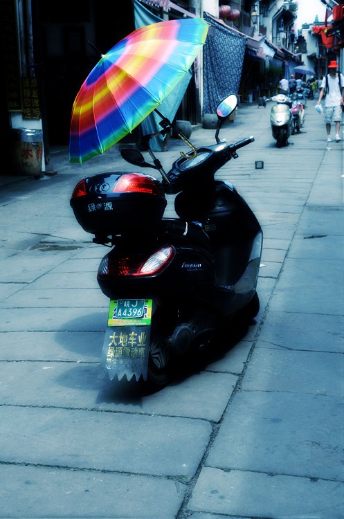 �������Ϫ�Ͻ�-������Ӱ