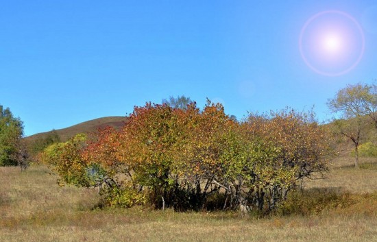 �����Ĵ��ԭ-��Ȼ�羰