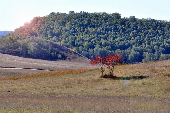 �����Ĵ��ԭ-��Ȼ�羰