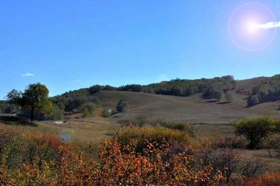 �����Ĵ��ԭ-��Ȼ�羰