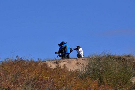 �����Ĵ��ԭ-��Ȼ�羰