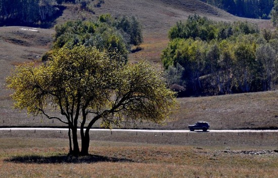 �����Ĵ��ԭ-��Ȼ�羰