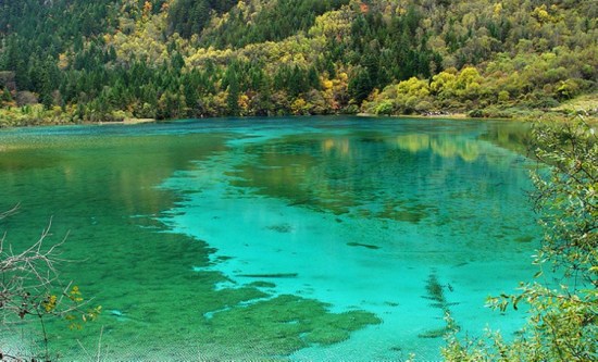 ʮ�¾�կ��-���ϵ���