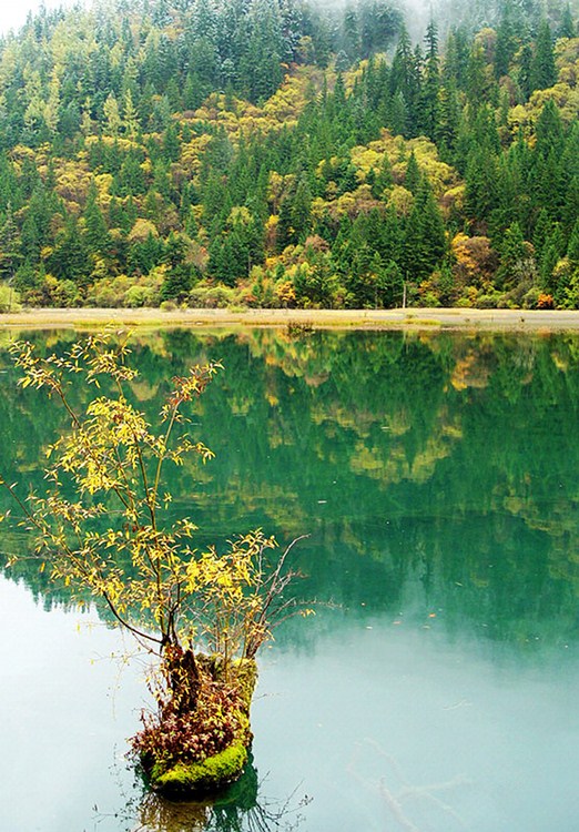 ʮ�¾�կ��-���ϵ���