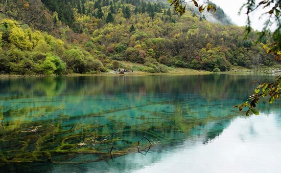 ʮ�¾�կ��-���ϵ���