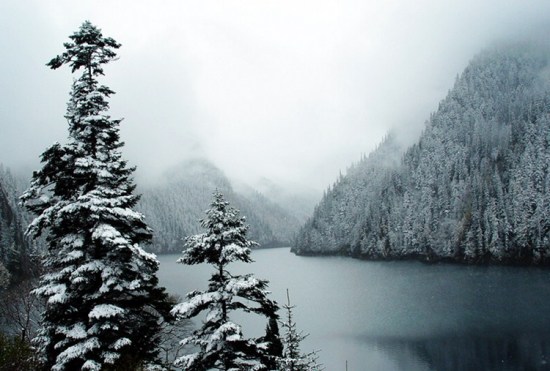 ʮ�¾�կ��-���ϵ���