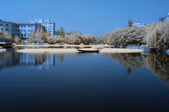 ������ۺ�����-���ϵ���