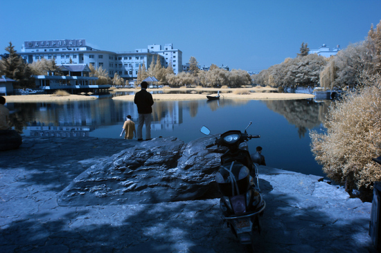 ������ۺ�����-���ϵ���