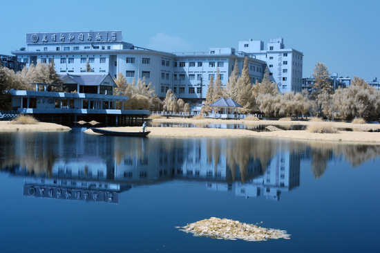 ������ۺ�����-���ϵ���