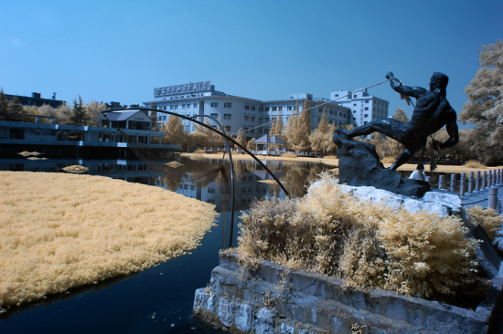 ������ۺ�����-���ϵ���