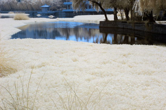 ������ۺ�����-���ϵ���