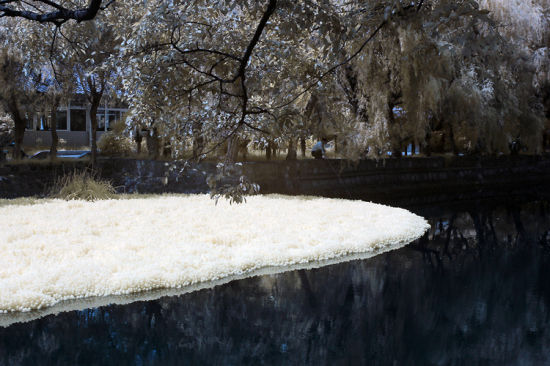 ������ۺ�����-���ϵ���