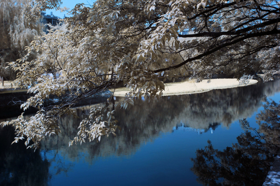 ������ۺ�����-���ϵ���