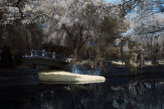 ������ۺ�����-���ϵ���