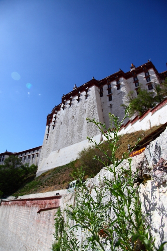 ���ع�������������-���ϵ���