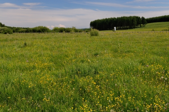 �����������羰��-��������