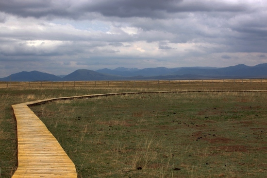 �����غ������-��������