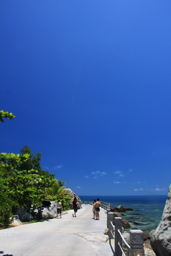 ӡ������-��Ȼ�羰