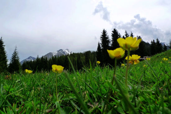 ��ɽ��⡪��������-��Ȼ�羰