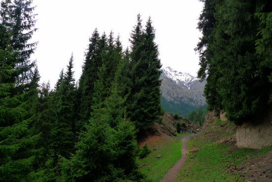 ��ɽ��⡪��������-��Ȼ�羰