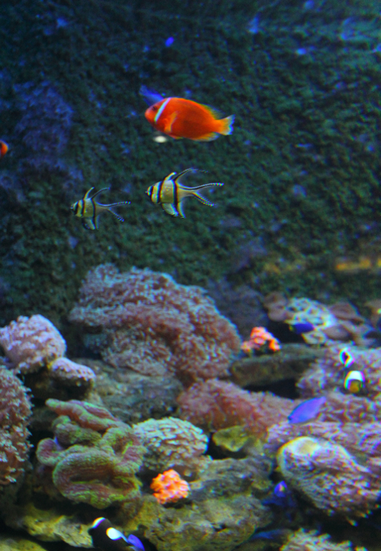 ���ţ��鶨�����졣-������Ӱ