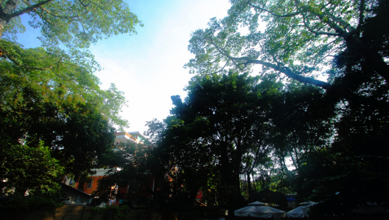 ���ţ��鶨�����졣-������Ӱ