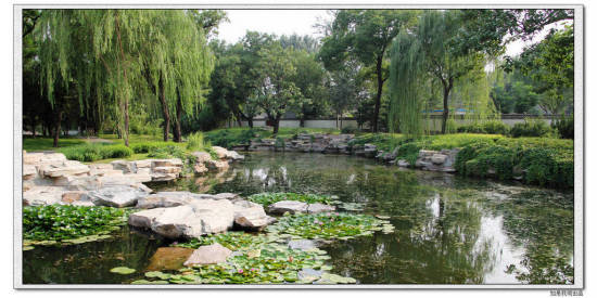 �����ú�԰-������Ӱ