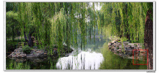 �����ú�԰-������Ӱ