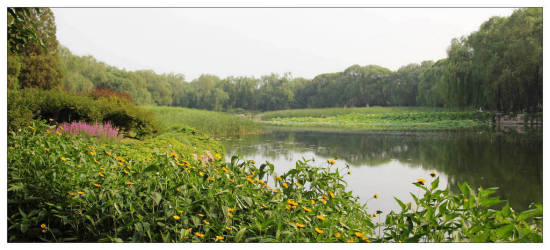 �����ú�԰-������Ӱ