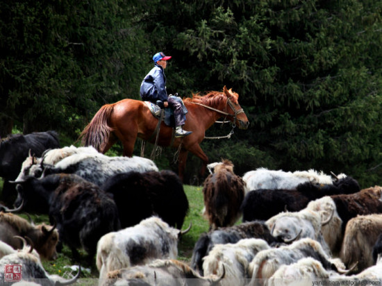 �����ɽ��-��Ȼ�羰