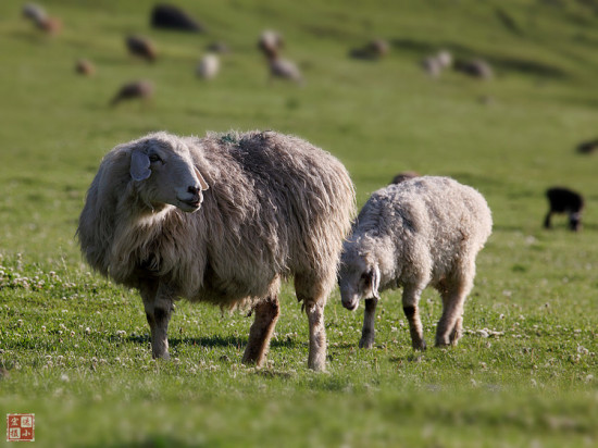 �����ɽ��-��Ȼ�羰