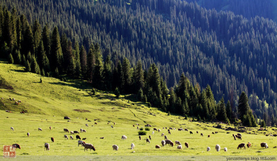 �����ɽ��-��Ȼ�羰