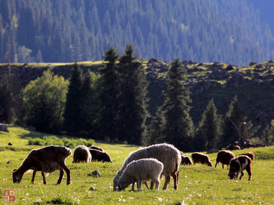 �����ɽ��-��Ȼ�羰