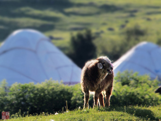 �����ɽ��-��Ȼ�羰