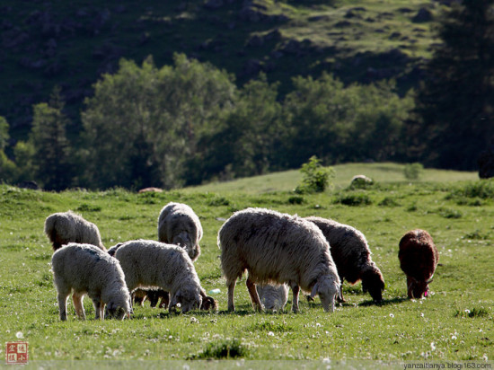 �����ɽ��-��Ȼ�羰