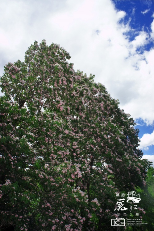 �������� ����֮��-������Ӱ