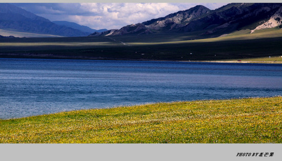 �����½�֮����ľ��-��������